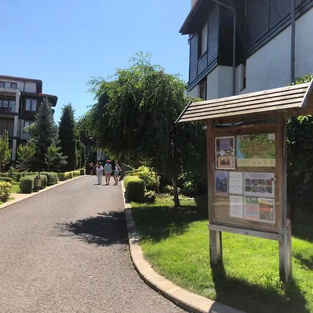 Sunny Santa Marina